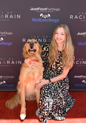 Amanda Seyfried pic #1165929