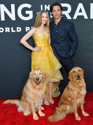 Amanda Seyfried pic #1165931