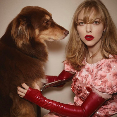 Amanda Seyfried pic #904774