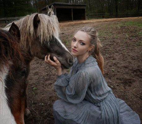 Amanda Seyfried pic #1125736