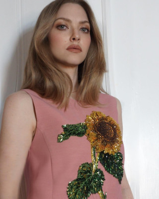 Amanda Seyfried pic #1250296