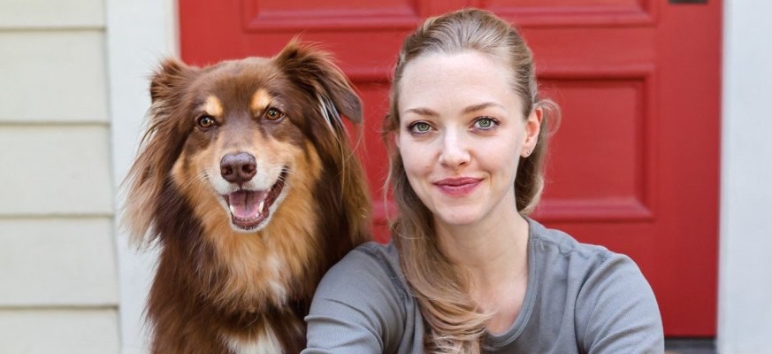 Amanda Seyfried pic #983263