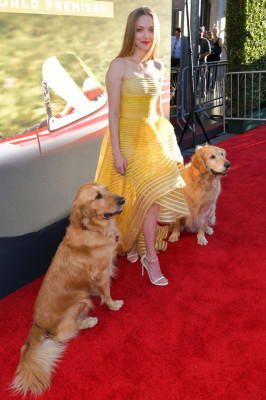 Amanda Seyfried pic #1165803
