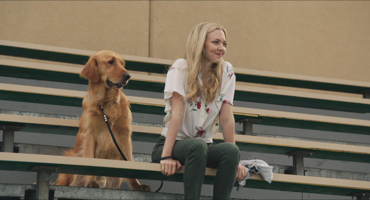 Amanda Seyfried pic #1214952