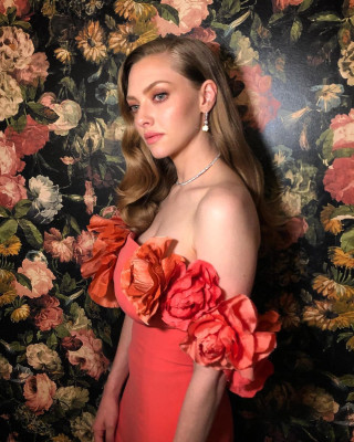 Amanda Seyfried pic #1249484