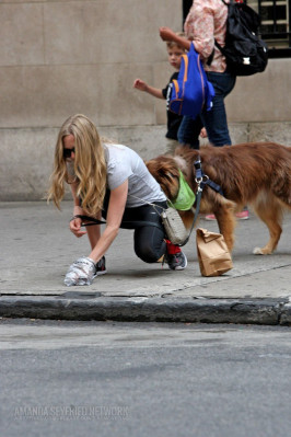 Amanda Seyfried pic #633543