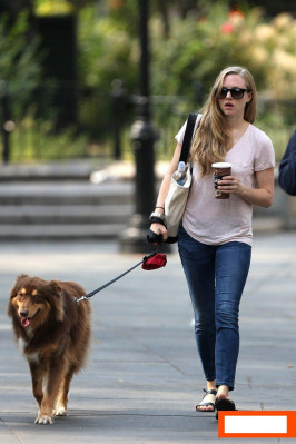 Amanda Seyfried pic #634180