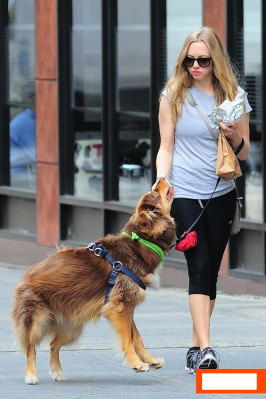 Amanda Seyfried pic #634177
