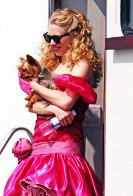 Amanda Seyfried pic #126180