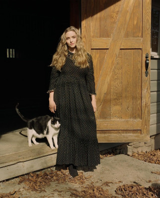 Amanda Seyfried pic #1241904