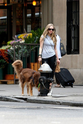 Amanda Seyfried pic #633538