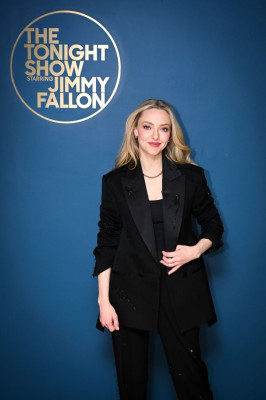 photo 18 in Amanda Seyfried gallery [id1370158] 2025-04-21 00:00:00