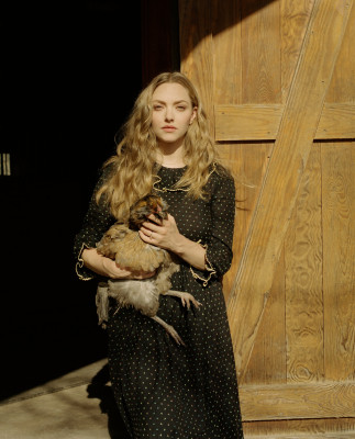 Amanda Seyfried pic #1241902