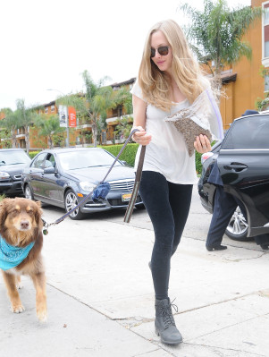 Amanda Seyfried pic #615122