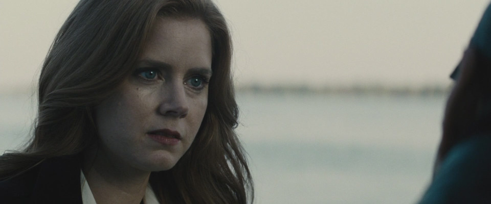 photo 16 in Amy Adams gallery [id944418] 2017-06-19 00:00:00