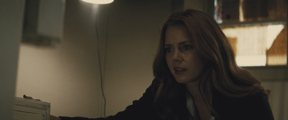 photo 12 in Amy Adams gallery [id944422] 2017-06-19 00:00:00