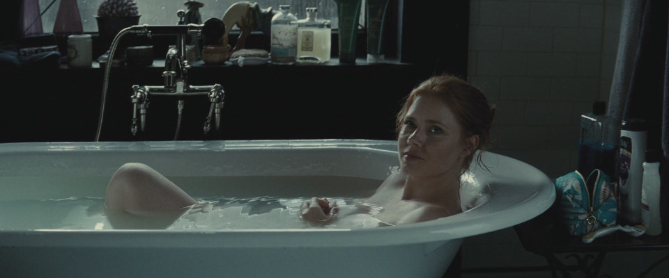 photo 15 in Amy Adams gallery [id944419] 2017-06-19 00:00:00