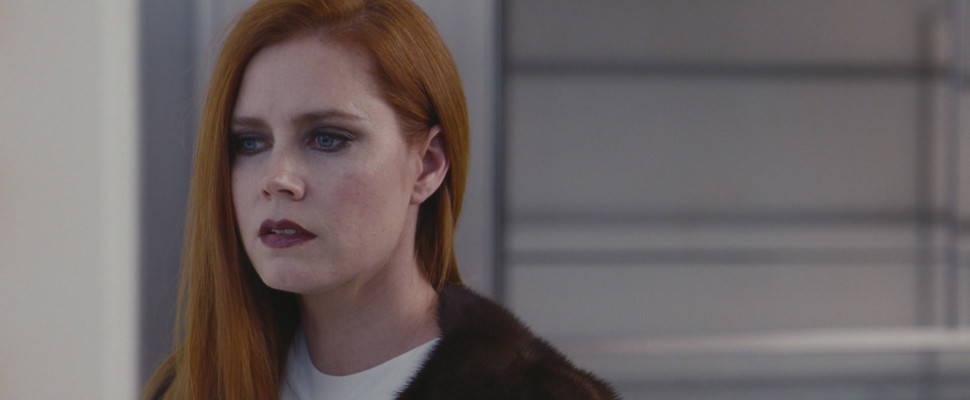 photo 17 in Amy Adams gallery [id917147] 2017-03-20 00:00:00