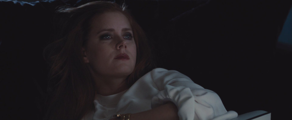 photo 3 in Amy Adams gallery [id952575] 2017-07-26 00:00:00