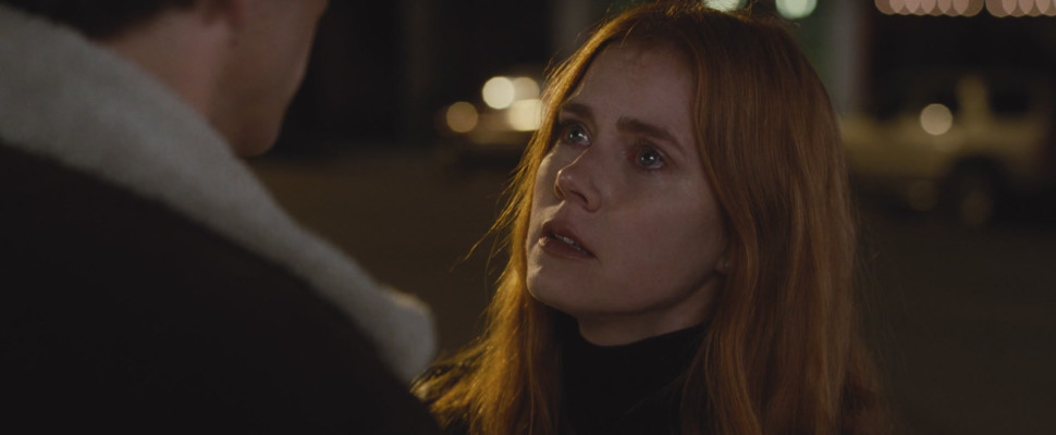 photo 20 in Amy Adams gallery [id957613] 2017-08-23 00:00:00