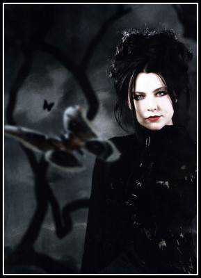 photo 16 in Amy Lee gallery [id69661] -0001-11-30 00:00:00