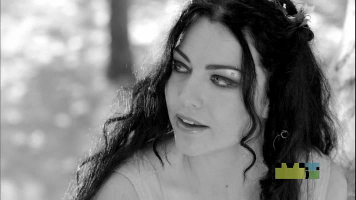photo 27 in Amy Lee gallery [id823211] 2015-12-30 00:00:00