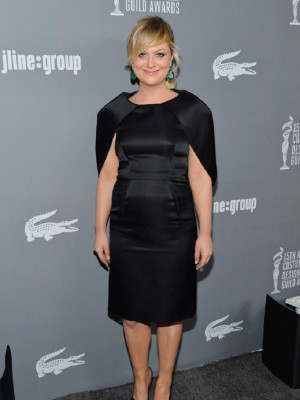 Amy Poehler pic #586825