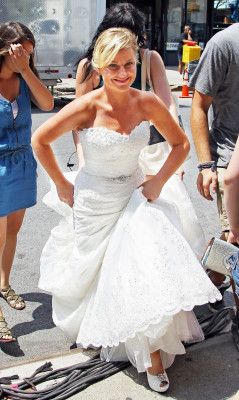 Amy Poehler pic #516204
