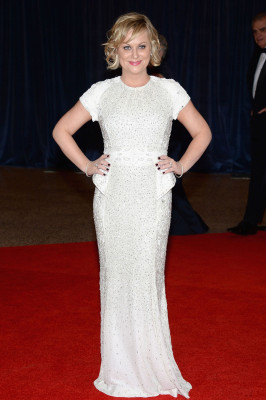 Amy Poehler pic #634240
