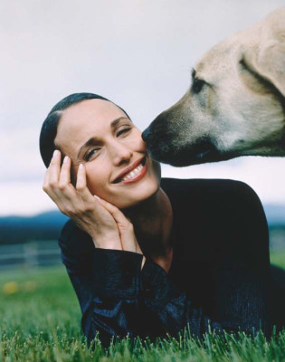 Andie Macdowell pic #75984