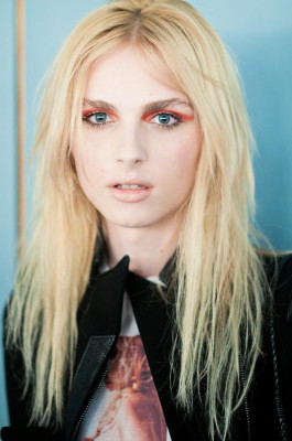 Andrej Pejic pic #437756
