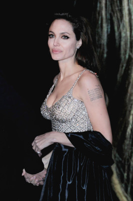 Angelina Jolie pic #317575