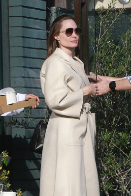 Angelina Jolie pic #1093233
