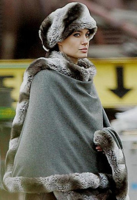 Angelina Jolie pic #146293