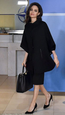 Angelina Jolie pic #1004124