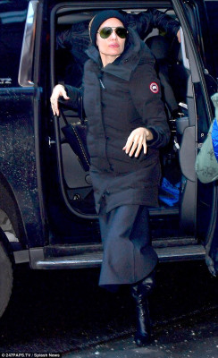 Angelina Jolie pic #990179