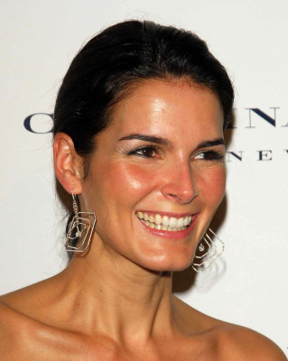 photo 14 in Angie Harmon gallery [id221884] 2009-12-30 00:00:00