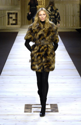 Anja Rubik pic #295712