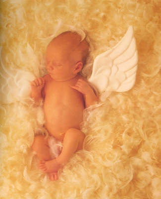 Anne Geddes pic #11420