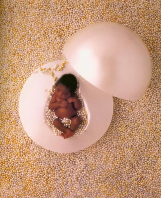Anne Geddes pic #11421