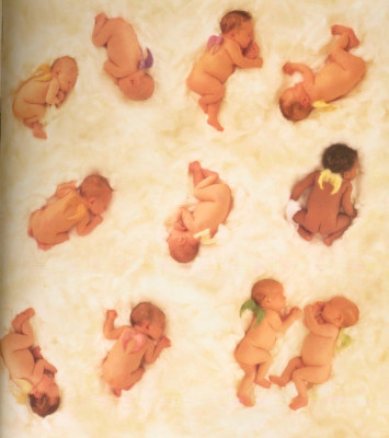 Anne Geddes pic #11368