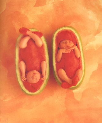 Anne Geddes pic #11377