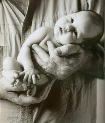 Anne Geddes pic #11576