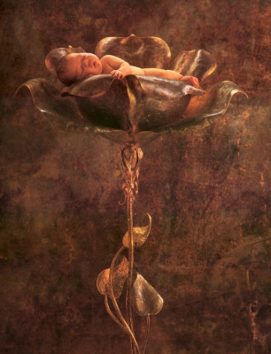 Anne Geddes pic #11567