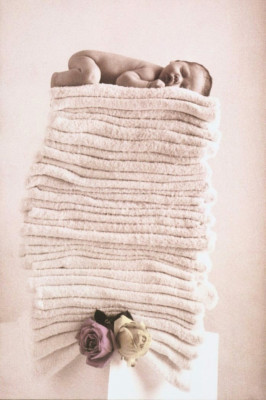 Anne Geddes pic #11571