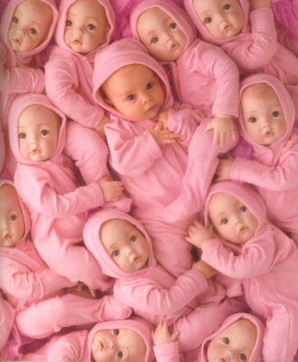 Anne Geddes pic #11566