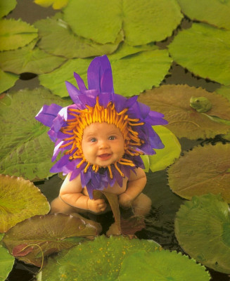 Anne Geddes pic #11574
