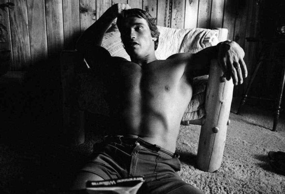 photo 3 in Arnold Schwarzenegger gallery [id279533] 2010-08-20 00:00:00