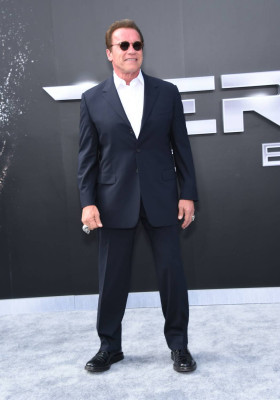 Arnold Schwarzenegger pic #782938