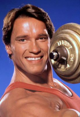 photo 18 in Schwarzenegger gallery [id561454] 2012-12-17 00:00:00